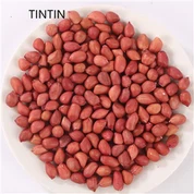 Gwerthu Poeth Cnewyllyn Pysgnau Croen Coch Tsieineaidd