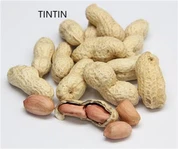 Cyfanwerthu Peanut Rhost yn Shell